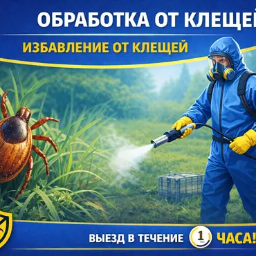 Уничтожение клещей: как защитить участок и близких